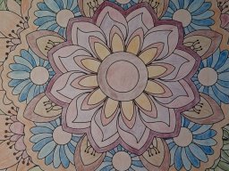 whatsapp image 2026-01-18 at 12.34.46